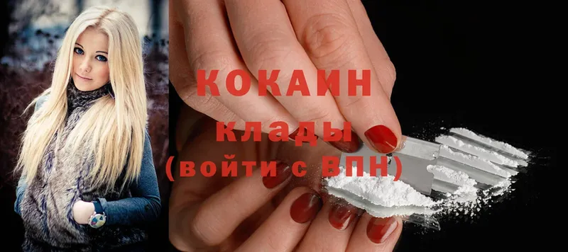 Cocaine FishScale  где можно купить наркотик  Льгов 