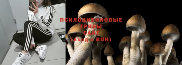 кокаин Алзамай